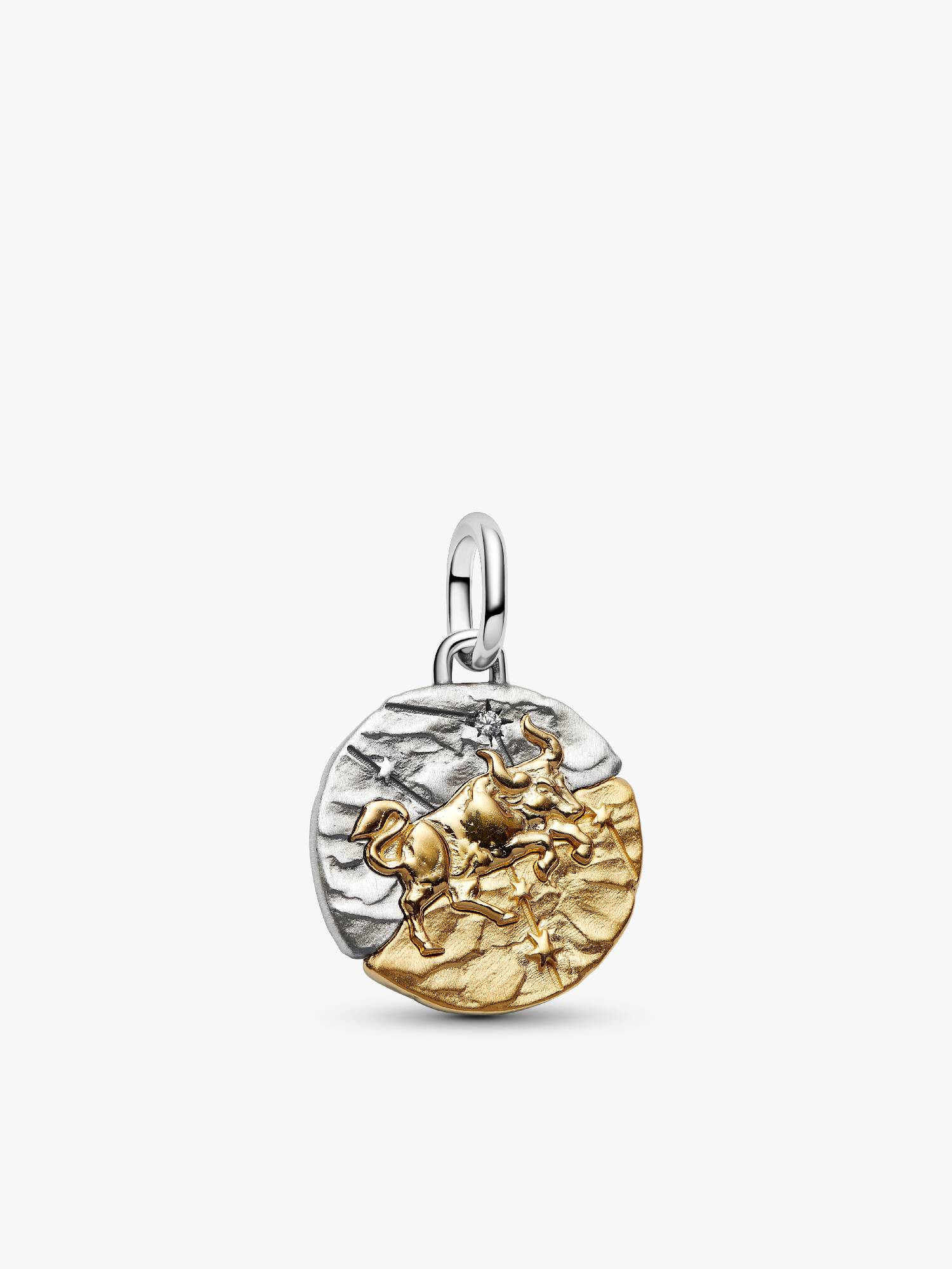 Charm Medalhão do Zodíaco do signo de Touro