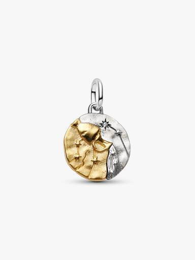 Charm Medalhão do Zodíaco do signo de Aquário