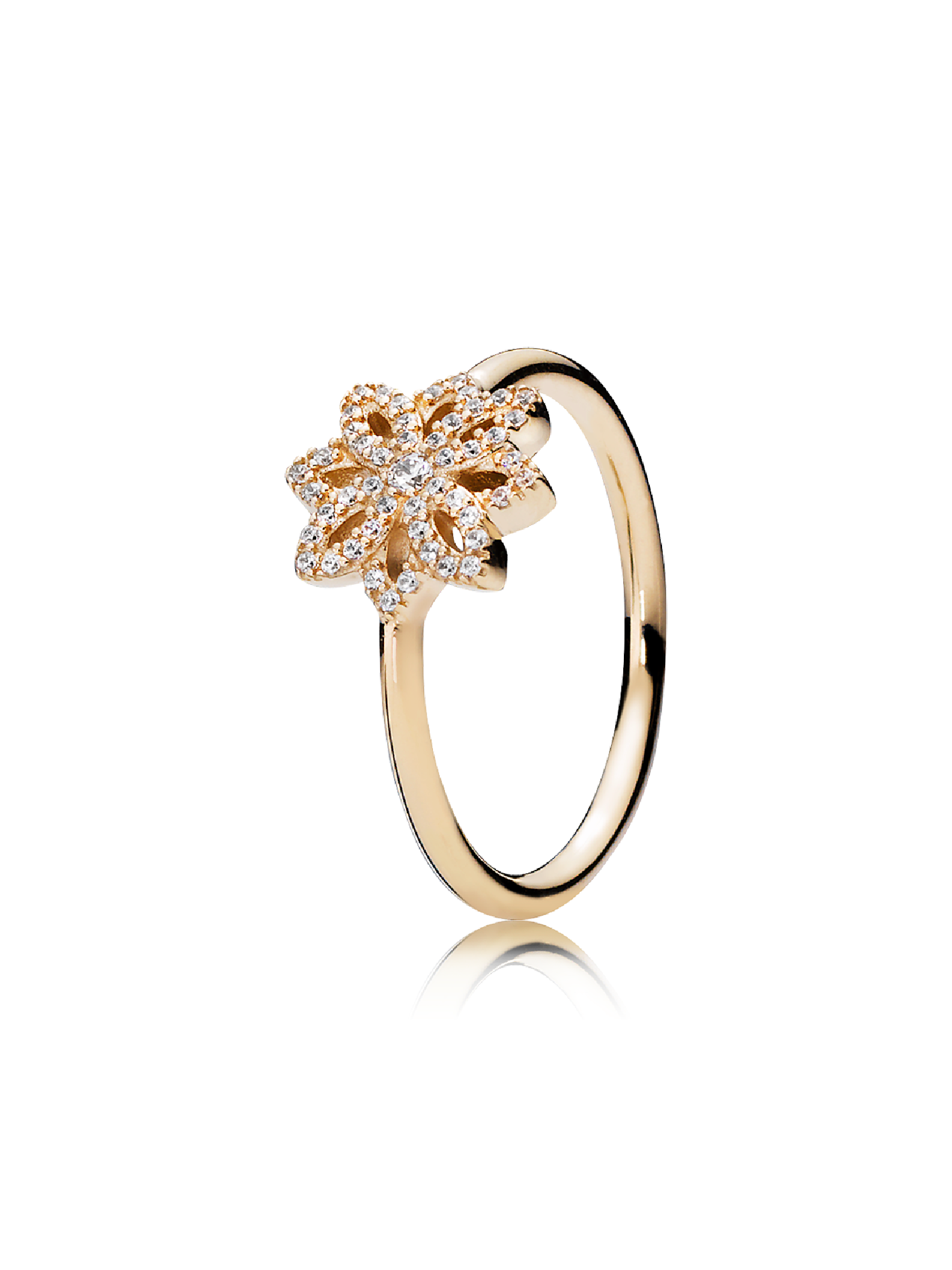 Anel Renda botânica, Zircônia Cúbica Transparente e ouro 14k