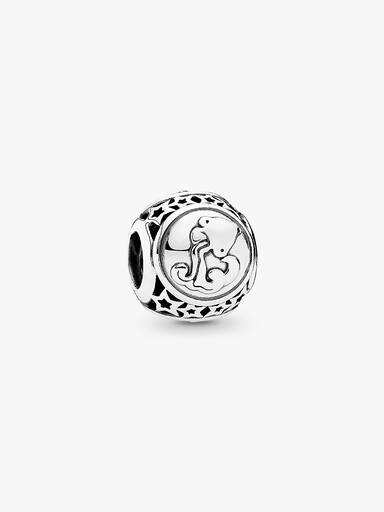Aquarius star sign silver charm