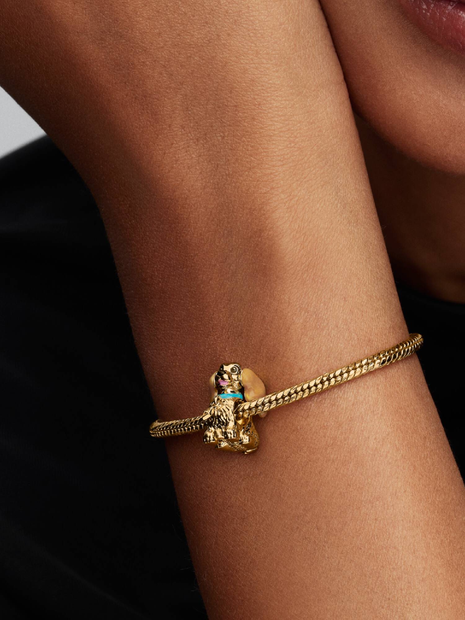 Charm da Lady da Disney.