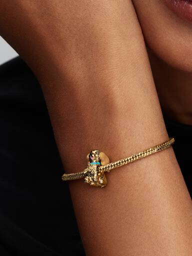Charm da Lady da Disney.