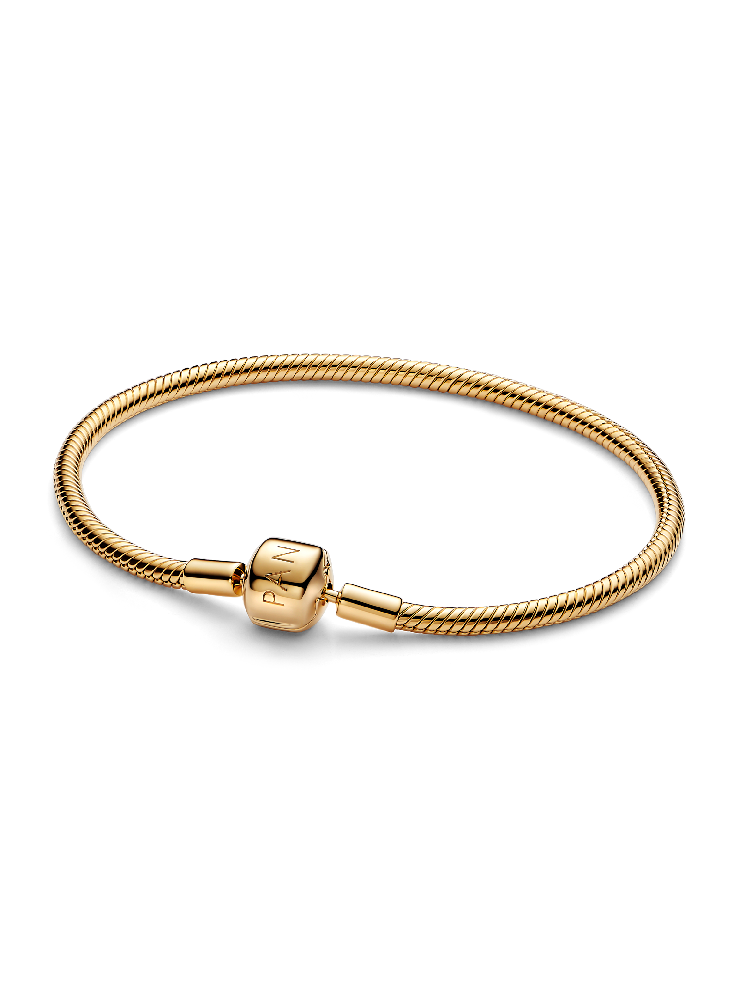 Pulseira Corrente Snake com Fecho Cilíndrico