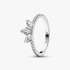 Anel Riqueza Botânica Anel Riqueza Botânica
