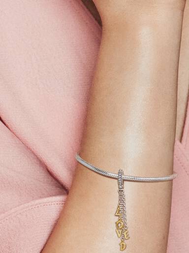 Chained loved PANDORA Shine and silver dangle