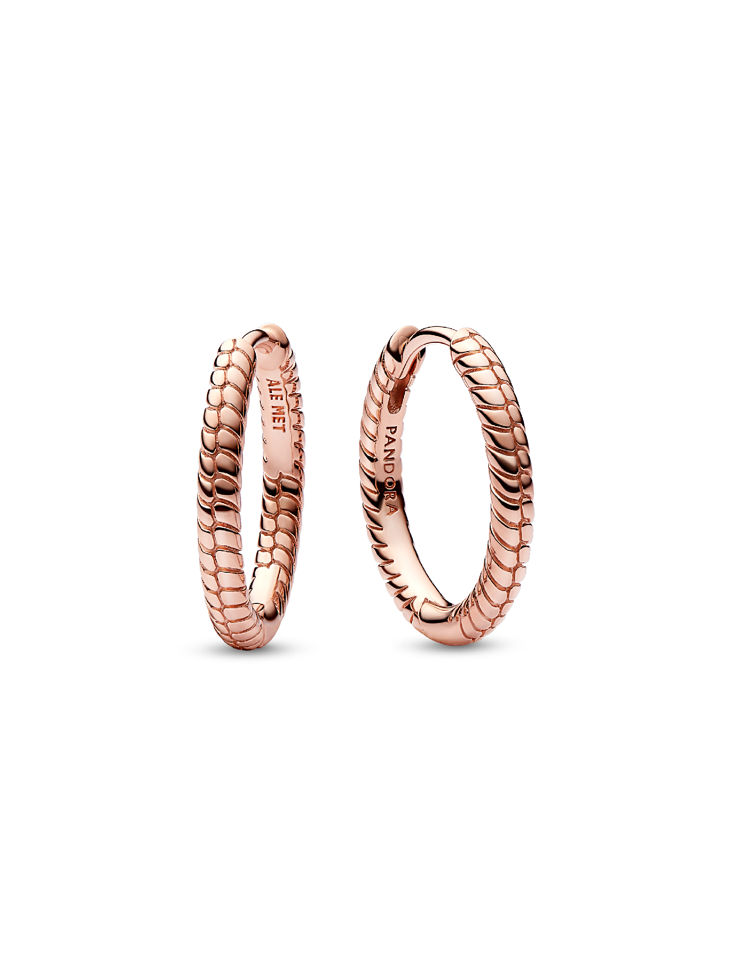 Brincos De Argola Para Charms Pandora Moments Pequeno