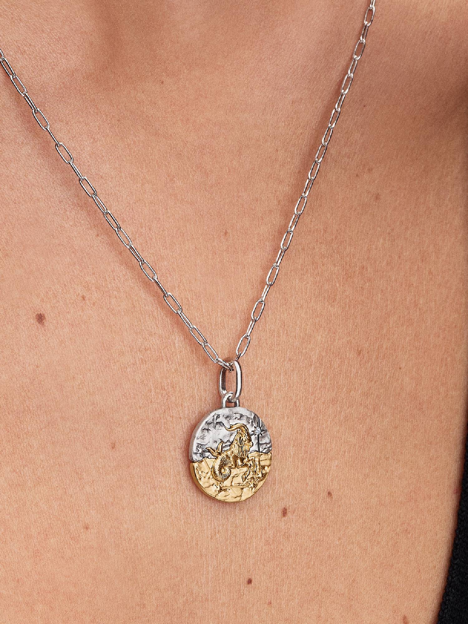 Charm Medalhão do Zodíaco do signo de Capricórnio