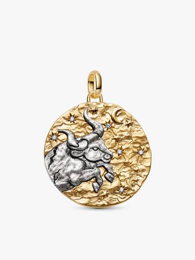 Colar com Pingente Talismã Oversized de Touro