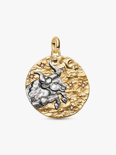 Charm Medalhão Maxi do Zodíaco Signo de Touro