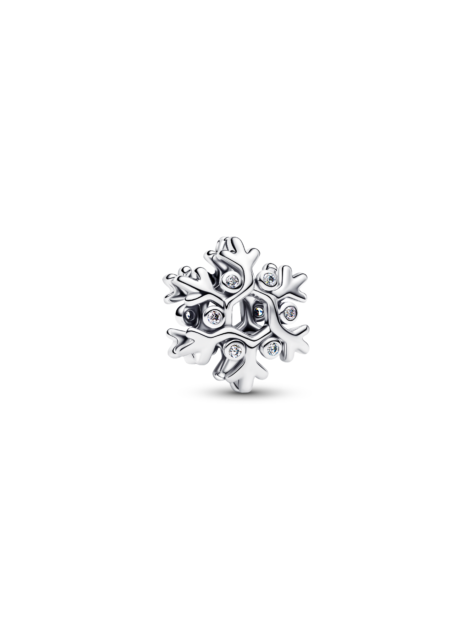 Charm de floco de neve