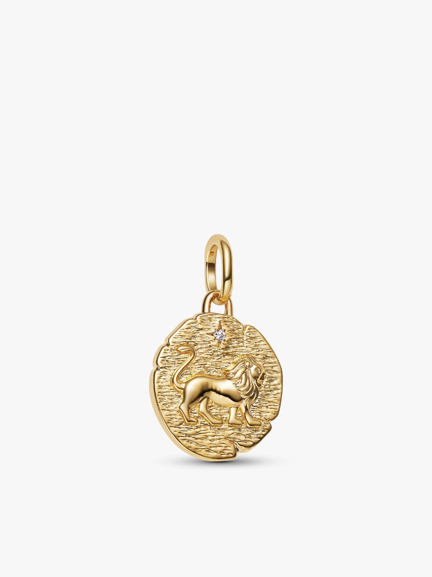 Charm Medalhão Leão
