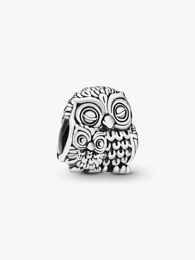 Owl family silver charm