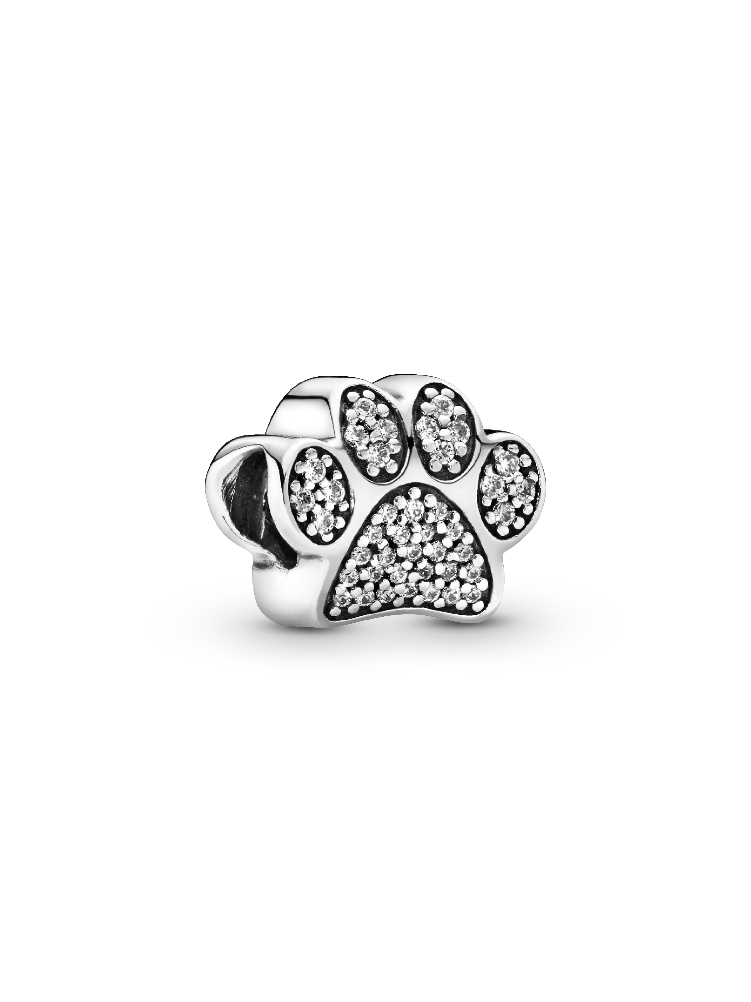 Charm com Estampa de Patinha Brilhante