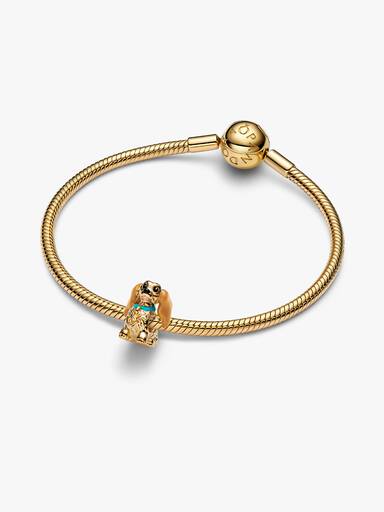 Charm da Lady da Disney.