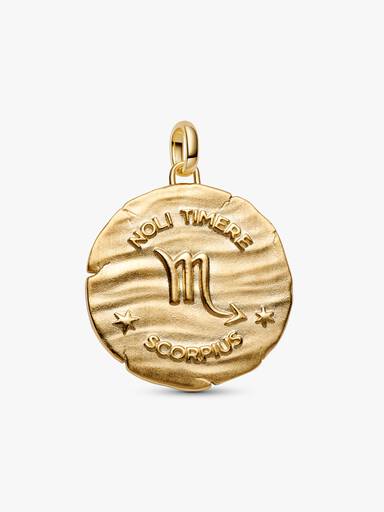 Charm Medalhão Maxi do Zodíaco Signo de Escorpião