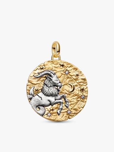 Colar com Pingente Talismã Oversized de Capricórnio