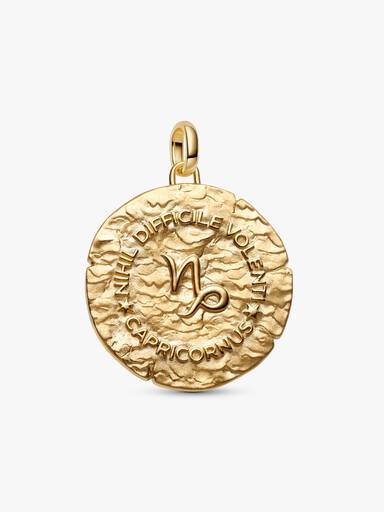 Charm Medalhão Maxi do Zodíaco do Signo de Capricórnio