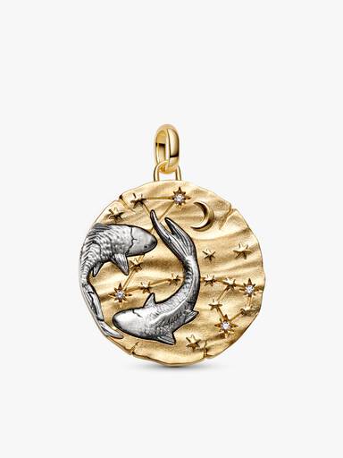Colar com Pingente Talismã Oversized de Peixes