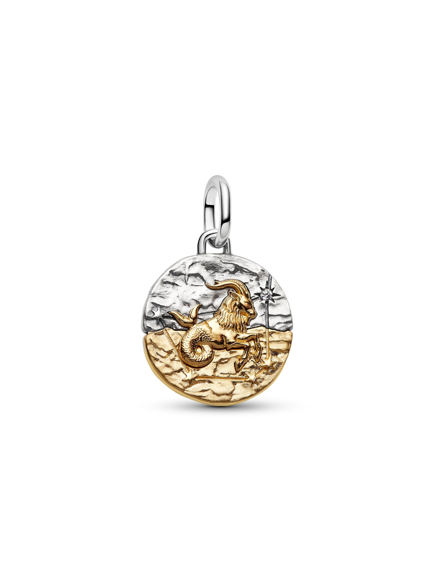 Charm Medalhão do Zodíaco do signo de Capricórnio