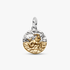 Charm Medalhão do Zodíaco do signo de Capricórnio Charm Medalhão do Zodíaco do signo de Capricórnio