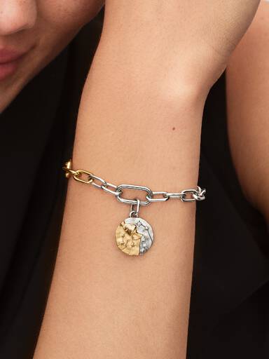 Charm Medalhão do Zodíaco do signo de Aquário