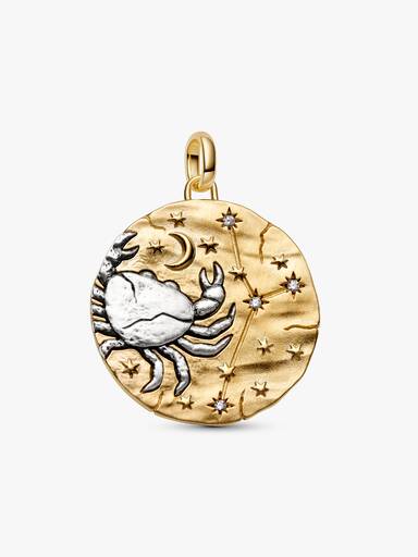 Charm Medalhão Maxi do Zodíaco do Signo de Câncer