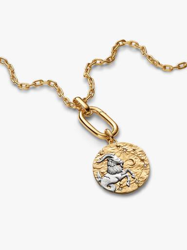 Charm Medalhão Maxi do Zodíaco do Signo de Capricórnio