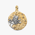 Charm Medalhão extragrande do Zodíaco do Signo de Leão Charm Medalhão extragrande do Zodíaco do Signo de Leão