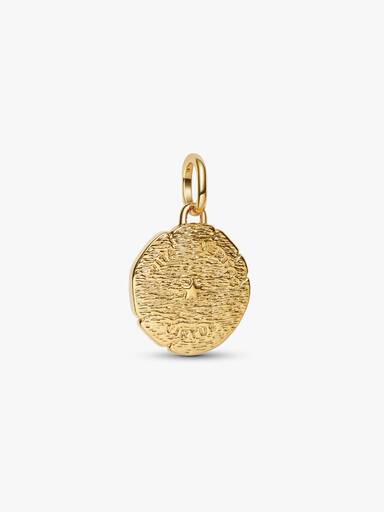 Charm Medalhão Leão