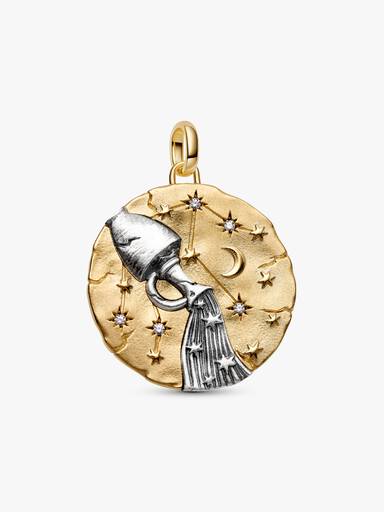 Charm Medalhão Maxi do Zodíaco do Signo de Aquário