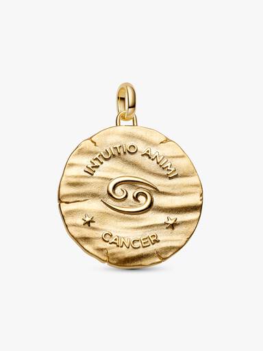 Charm Medalhão Maxi do Zodíaco do Signo de Câncer