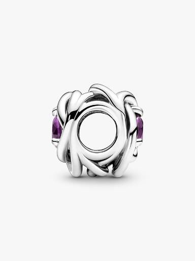 Charm Círculo da Eternidade de Fevereiro