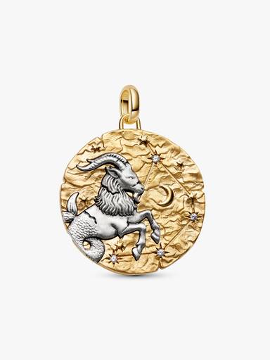 Charm Medalhão Maxi do Zodíaco do Signo de Capricórnio