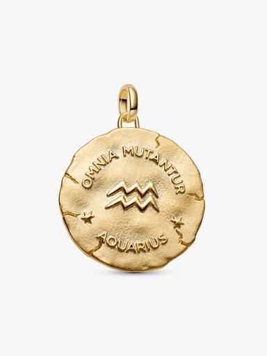 Charm Medalhão Maxi do Zodíaco do Signo de Aquário