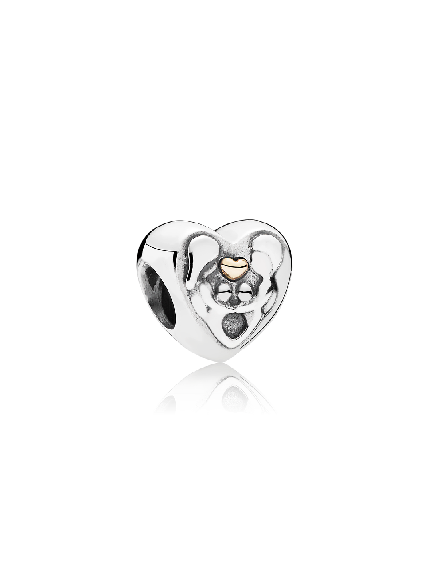 Coração Of The Family Charm
