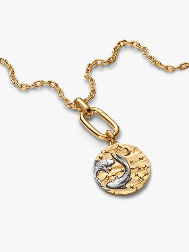 Charm Medalhão extragrande do Zodíaco do signo de Peixes