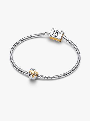 Charm da maçã envenenada da Branca de Neve da Disney