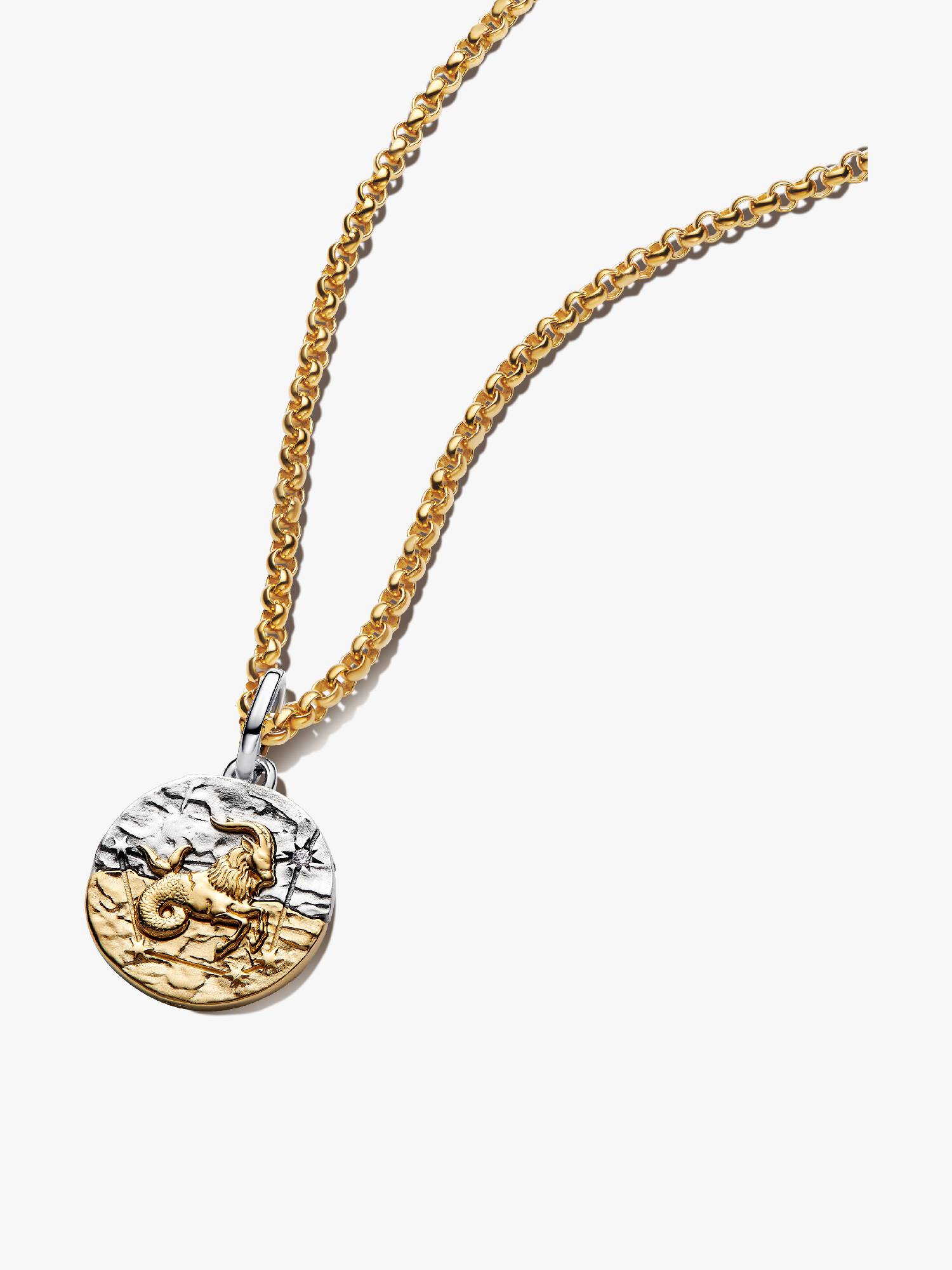 Colar com Pingente Talismã de Capricórnio
