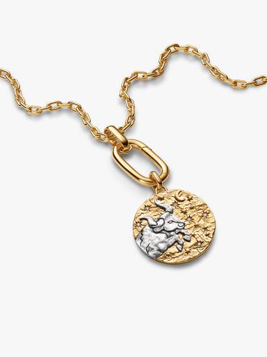 Colar com Pingente Talismã Oversized de Touro