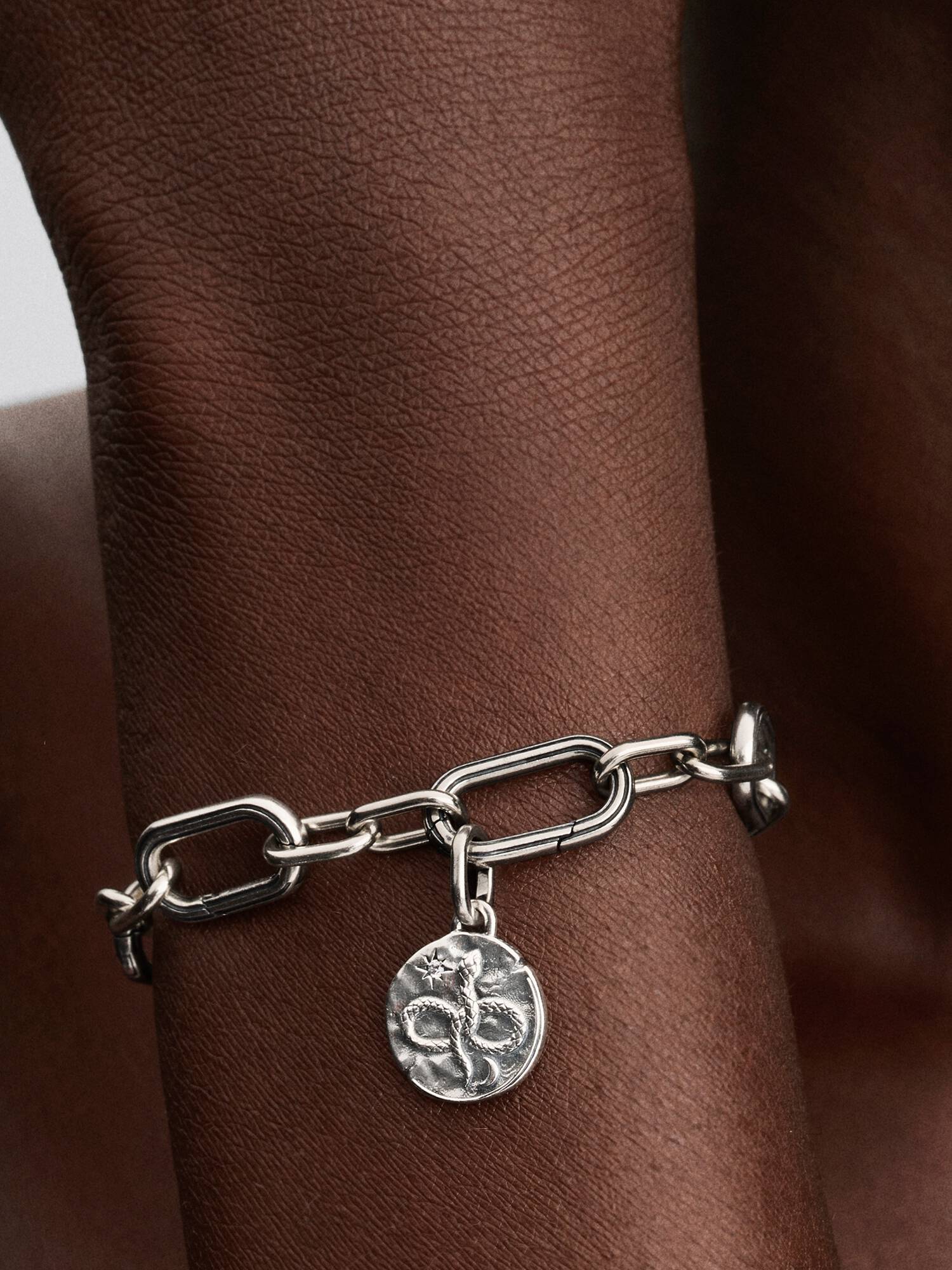 Charm Medalhão de Cobra Entrelaçada
