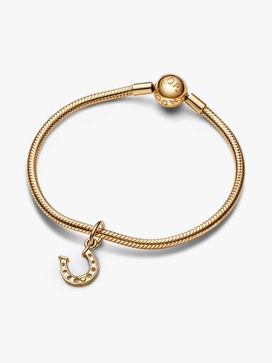 Charm pendente da ferradura da sorte