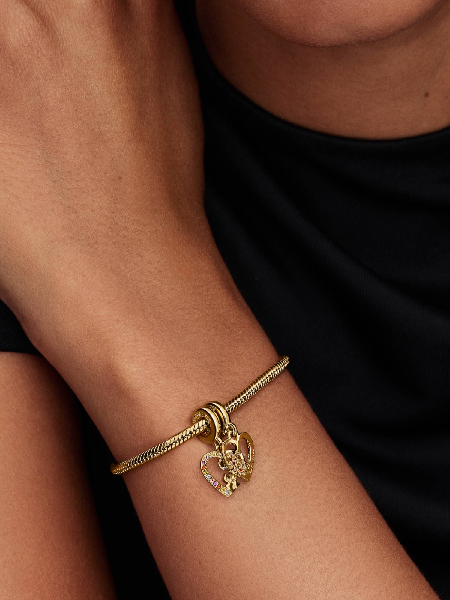 Charm Divisível Quebra-Cabeça da Amizade