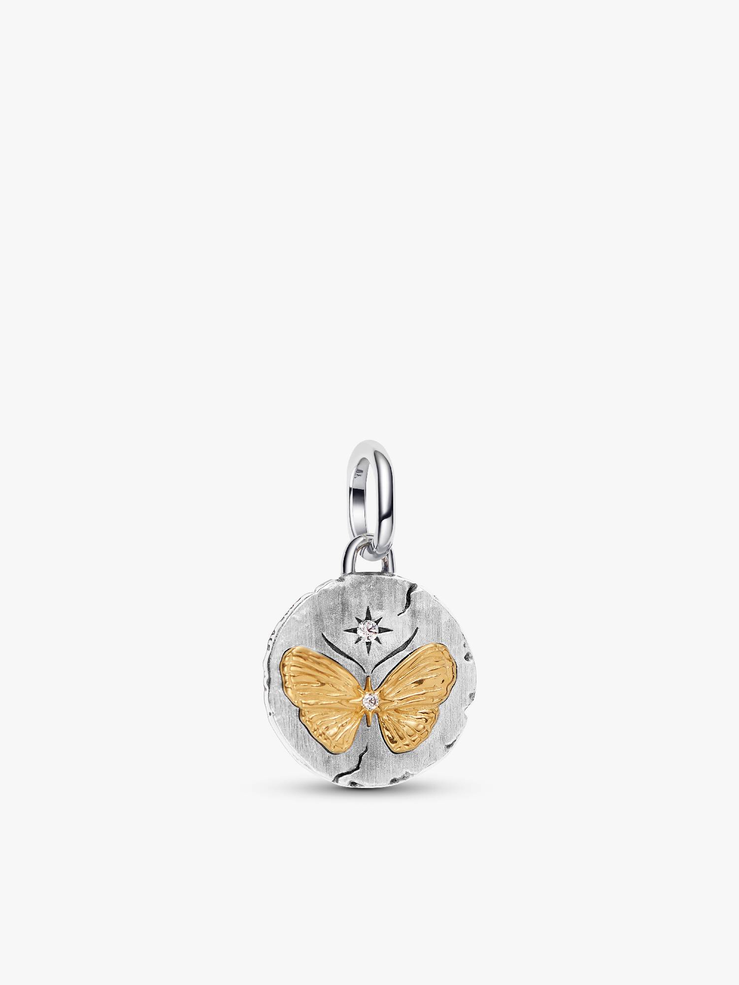 Charm Medalhão de Borboleta