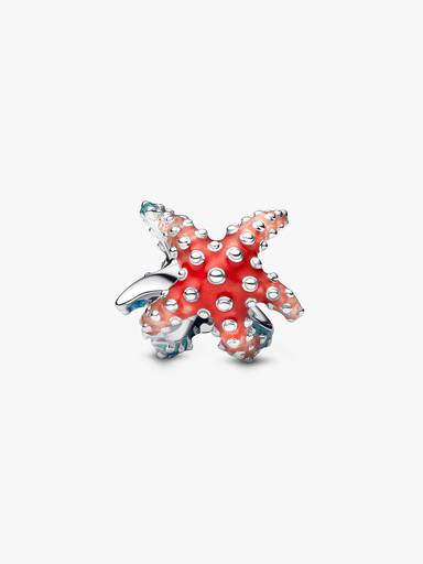 Mini charm colorido de Estrela-do-mar