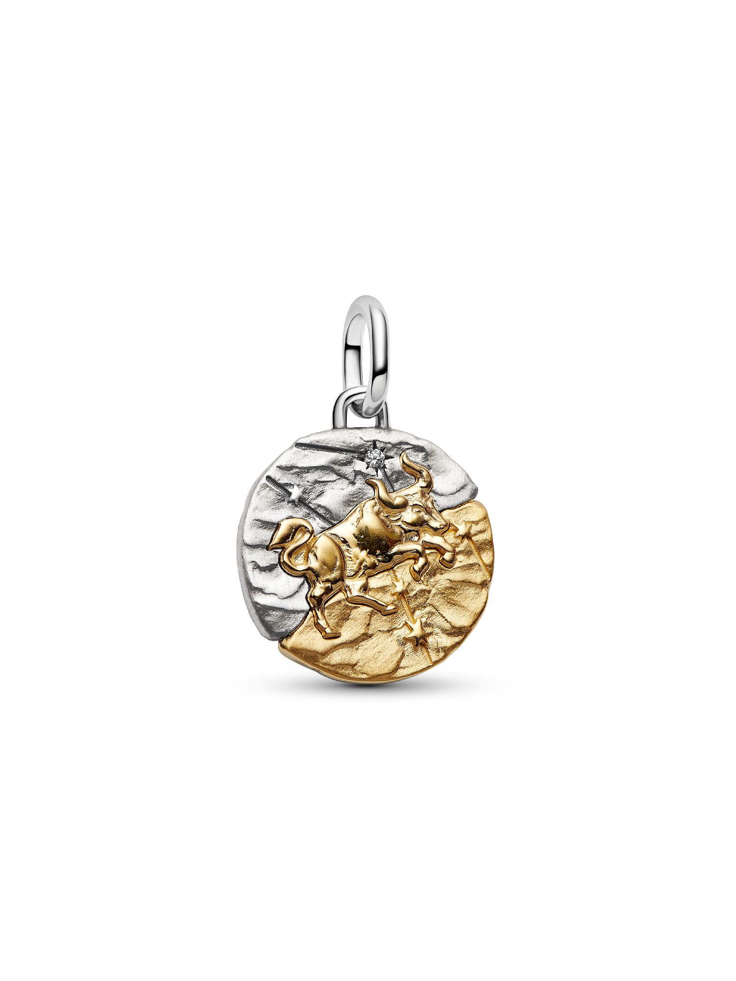 Charm Medalhão do Zodíaco do signo de Touro