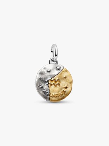 Charm Medalhão do Zodíaco do signo de Aquário