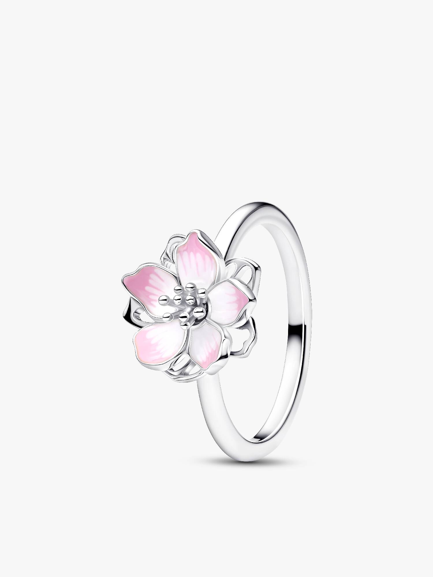 Anel de flor de cerejeira.