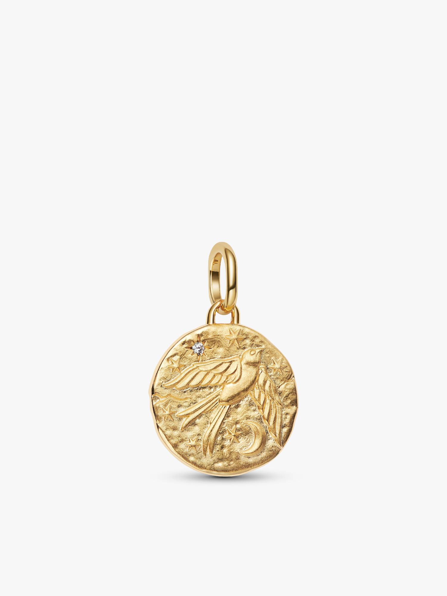 Charm Medalhão de Andorinha