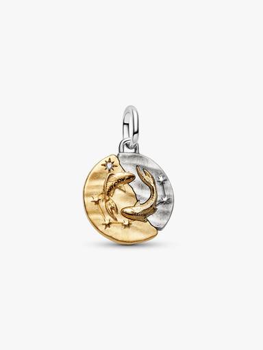 Charm Medalhão do Zodíaco do signo de Peixes