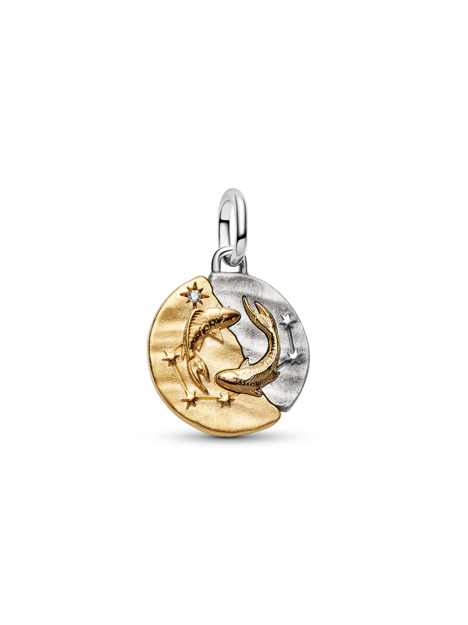 Charm Medalhão do Zodíaco do signo de Peixes